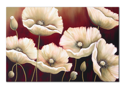 Malované bílé máky