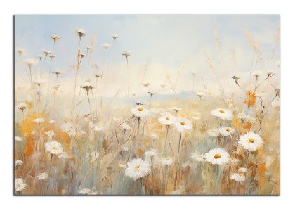 Bílé květy na louce