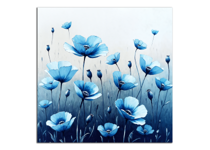 Modré květy máků