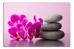 Obraz na plátně Orchideje a kameny