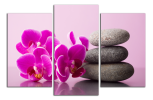 Obraz na plátně Orchideje a kameny