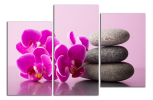 Obraz na plátně Orchideje a kameny