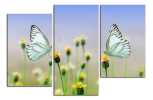 Obraz na plátně 2 motýli