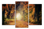 Obraz na plátně Cesta v lese