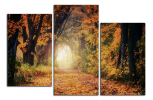 Obraz na plátně Cesta v lese