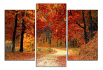 Obraz na plátně Cesta podzimním lesem