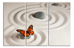 Obraz na plátně Motýl na kamenu