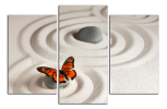 Obraz na plátně Motýl na kamenu