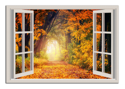Okno do podzimního lesa