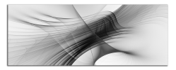 Obraz na plátně Černobílá abstrakce
