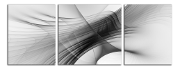 Obraz na plátně Černobílá abstrakce