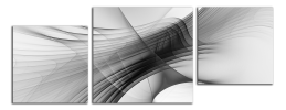 Obraz na plátně Černobílá abstrakce