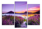 Obraz na plátně Fialová scenerie