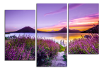 Obraz na plátně Fialová scenerie
