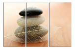 Obraz na plátně Kameny a list
