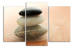 Obraz na plátně Kameny a list