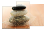 Obraz na plátně Kameny a list