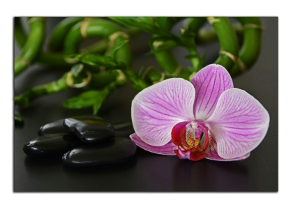 Orchidej a zen kameny