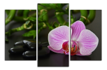 Obraz na plátně Orchidej a zen kameny