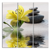 Obraz na plátně Lilie a kameny