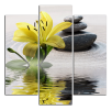 Obraz na plátně Lilie a kameny