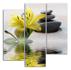 Obraz na plátně Lilie a kameny
