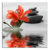 Obraz na plátně Lilie a kameny