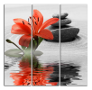 Obraz na plátně Lilie a kameny