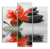 Obraz na plátně Lilie a kameny