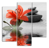 Obraz na plátně Lilie a kameny