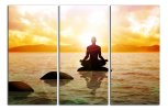 Obraz na plátně Meditace