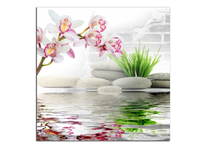 Orchidej a zen kameny