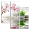 Obraz na plátně Orchidej a zen kameny