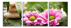 Obraz na plátně Květy a zen kameny