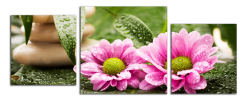 Obraz na plátně Květy a zen kameny