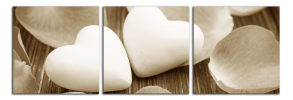 Obraz na plátně 2 srdce