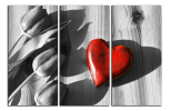 Obraz na plátně Srdce a tulipány