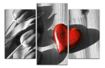 Obraz na plátně Srdce a tulipány