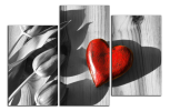 Obraz na plátně Srdce a tulipány