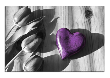 Srdce a tulipány