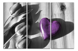 Obraz na plátně Srdce a tulipány
