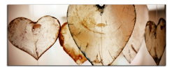 Obraz na plátně Srdce