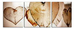 Obraz na plátně Srdce