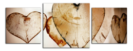 Obraz na plátně Srdce