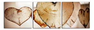 Obraz na plátně Srdce