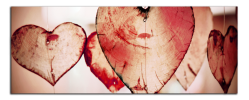 Obraz na plátně Srdce