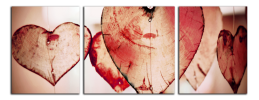 Obraz na plátně Srdce