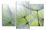 Obraz na plátně Pampelišky