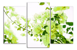 Obraz na plátně Zelené květy