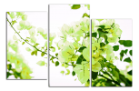 Obraz na plátně Zelené květy